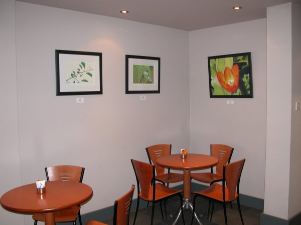exhibition of paintings and prints by alex borissov at caffe bellini